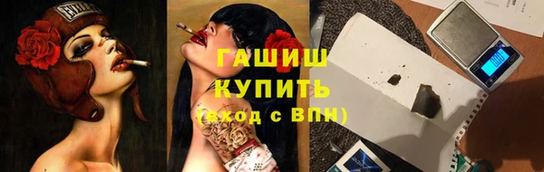 прущие грибы Вязники